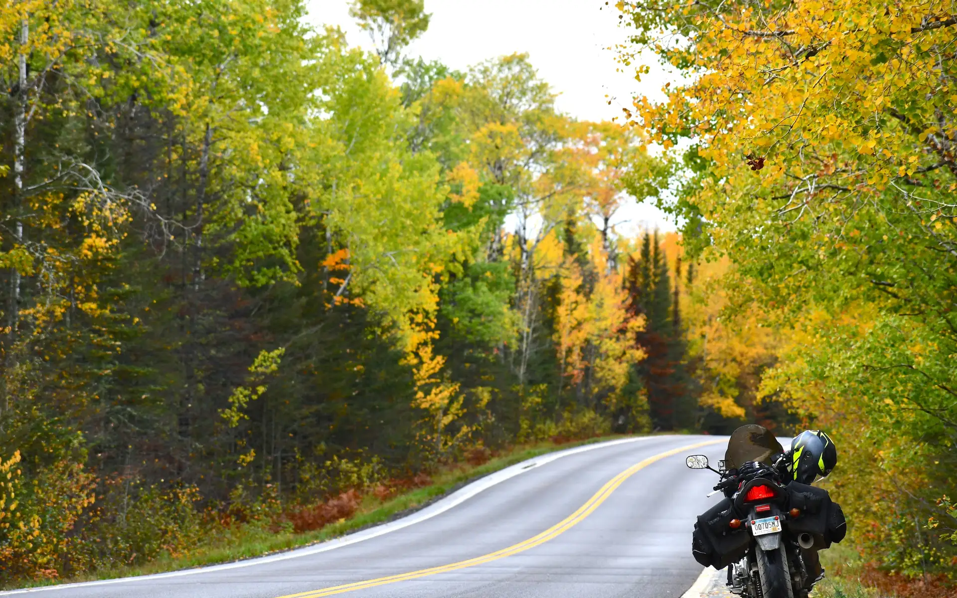 Superior National Forest road